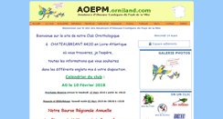 Desktop Screenshot of aoepm.orniland.com